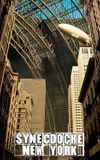 Synecdoche, New York