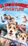 A Doggone Adventure