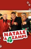 Natale a 4 zampe