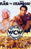 WCW Spring Stampede 1994