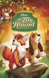 The Fox and the Hound