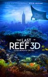 The Last Reef: Cities Beneath the Sea