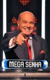 Mega Senha