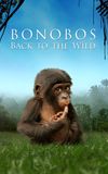 Bonobos: Back to the Wild