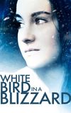 White Bird in a Blizzard