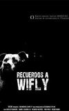 Recuerdos a Wifly