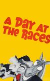 A Day at the Races