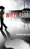 White Rabbit