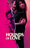 Hounds of Love