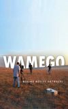 WAMEGO: Making Movies Anywhere