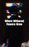 Where Withered Flowers Grow