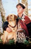 Far from Home: The Adventures of Yellow Dog