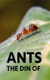 The Din Of Ants