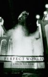 Perfect World