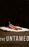 The Untamed