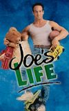 Joe's Life