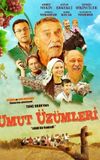 Umut Üzümleri