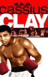 a.k.a. Cassius Clay