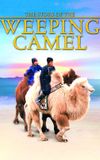 The Story of the Weeping Camel