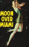 Moon Over Miami