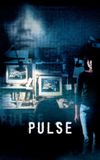 Pulse