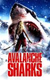 Avalanche Sharks