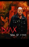 DMX: Soul of a Man