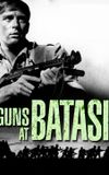 Guns at Batasi