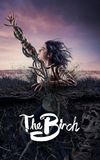 The Birch