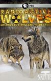 Radioactive Wolves: Chernobyl's Nuclear Wilderness