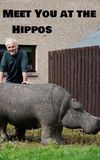 Meet You at the Hippos