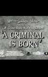 A Criminal Is Born