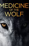 Medicine of the Wolf