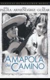 Amapola Del Camino