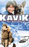 The Courage of Kavik, the Wolf Dog