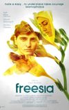 Freesia