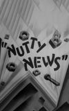 Nutty News