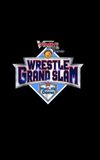 NJPW Wrestle Grand Slam in MetLife Dome: Night 2