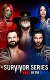 WWE Survivor Series 2020