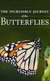 The Incredible Journey of the Butterflies