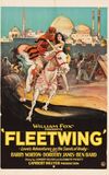 Fleetwing