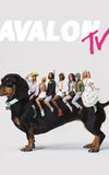 Avalon TV