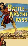 The Battle at Apache Pass