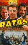 Ratas de alcantarilla