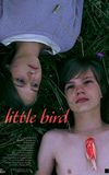 Little Bird