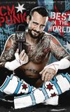 CM Punk: Best in the World