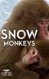 Wild Japan: Snow Monkeys