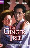 The Ginger Tree