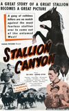 Stallion Canyon