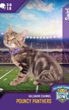 Kitten Bowl VIII Special